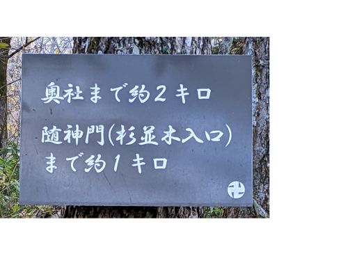 戸隠神社　奥社　参道