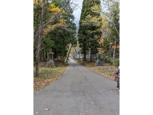 戸隠神社　奥社　参道