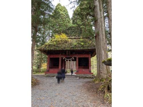 戸隠神社　奥社　参道