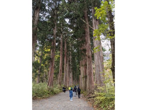 戸隠神社　奥社　参道