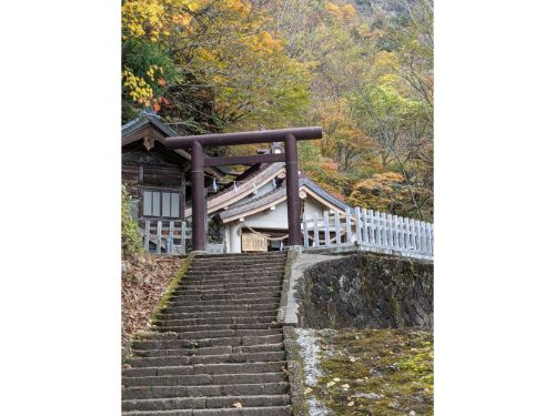 戸隠神社　奥社　参道