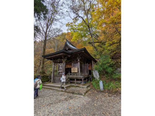 戸隠神社　奥社　参道